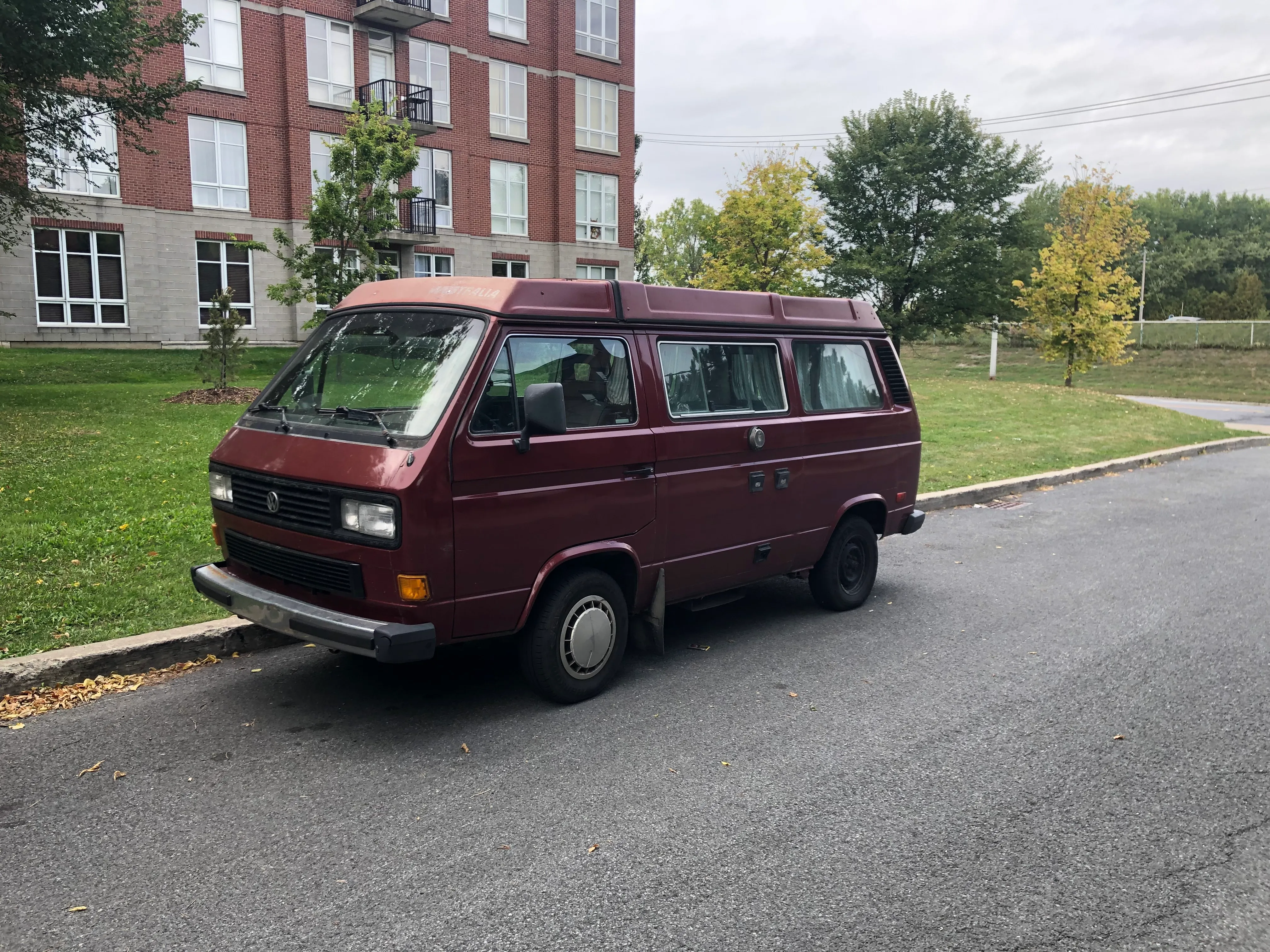 T3