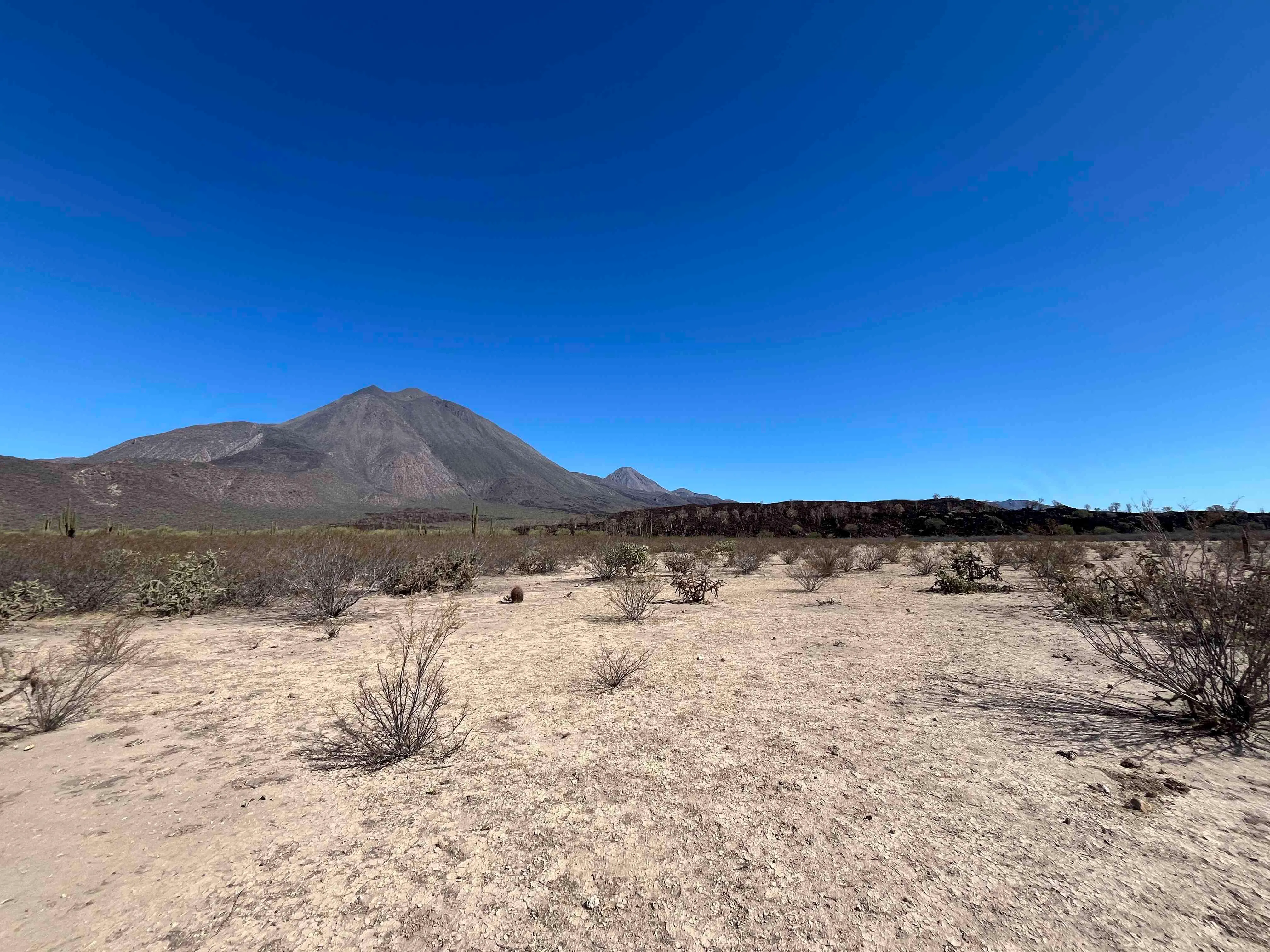 Baja Sur