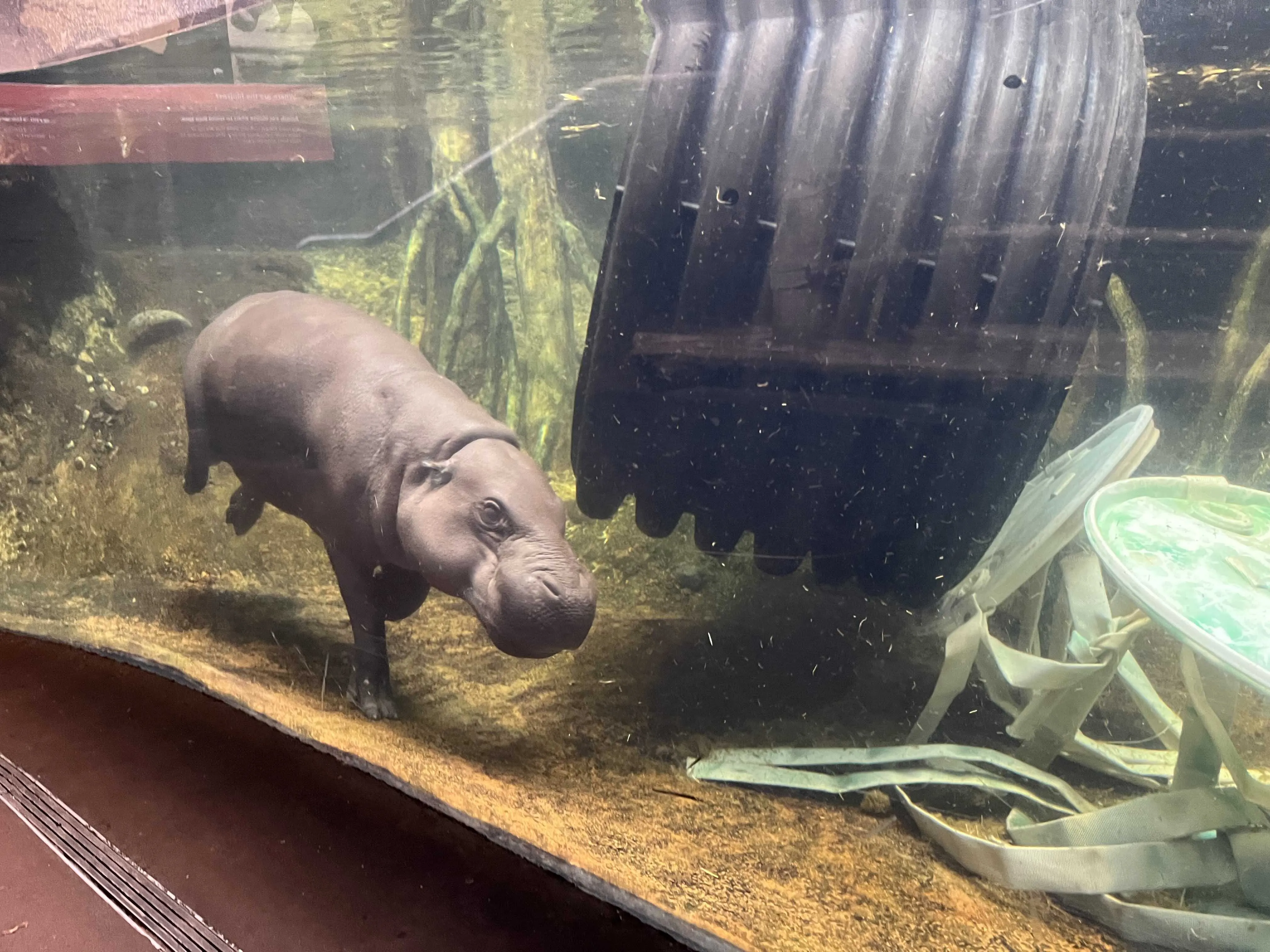 Zoo