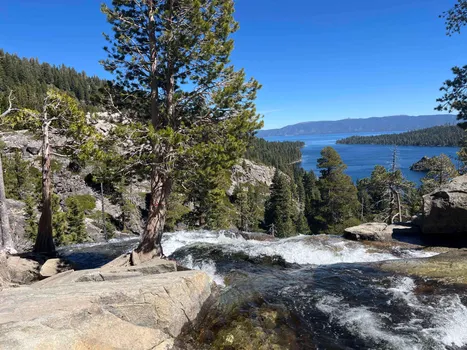 altText
