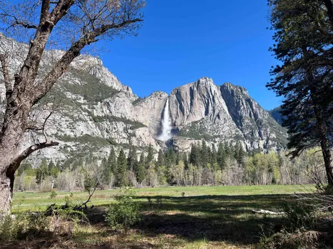 altText