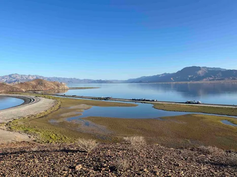 altText