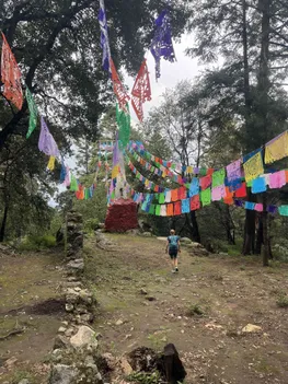 altText