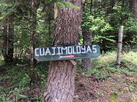 altText