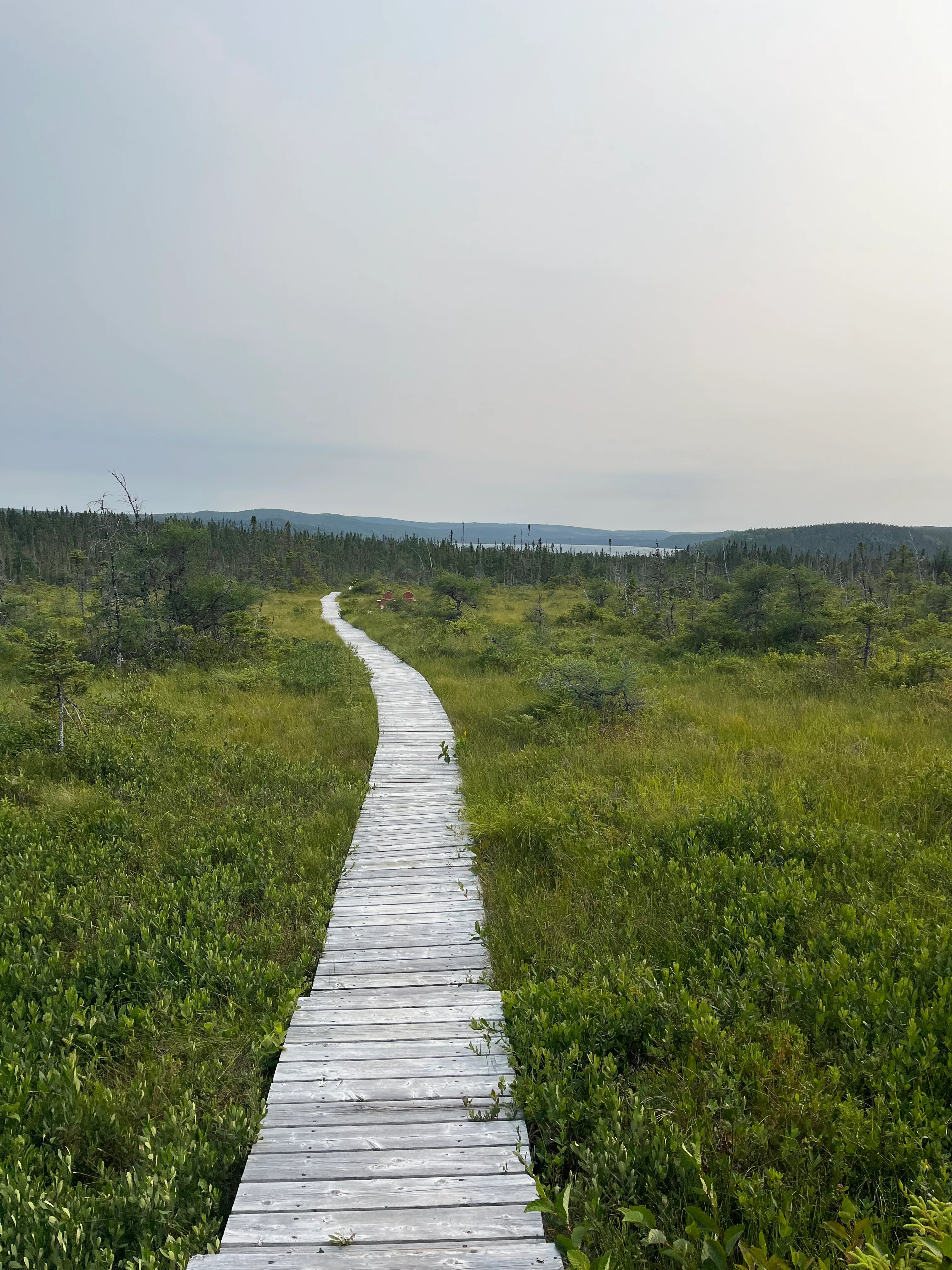 Boardwalk