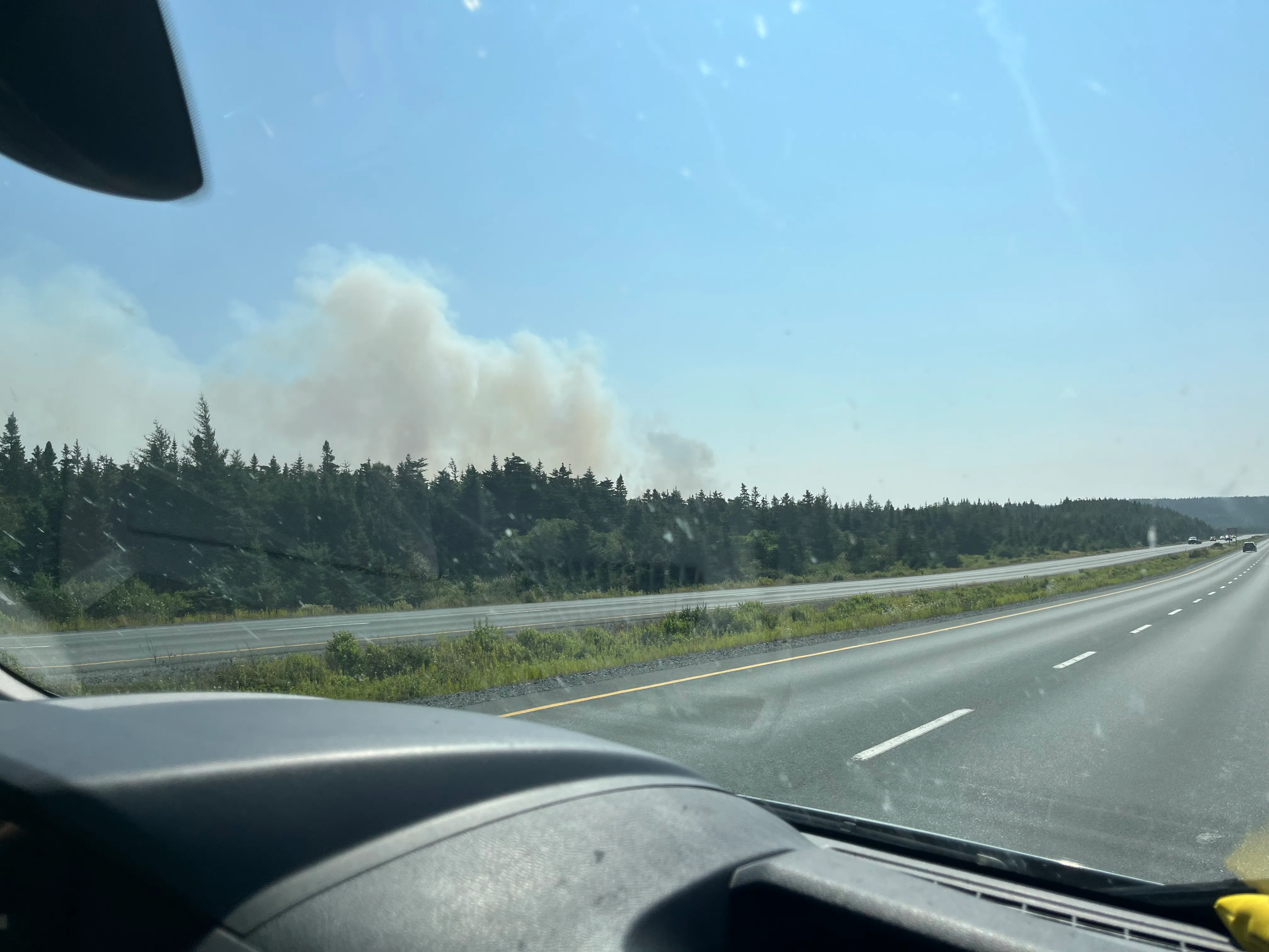  Paddy's Pond Wildfire