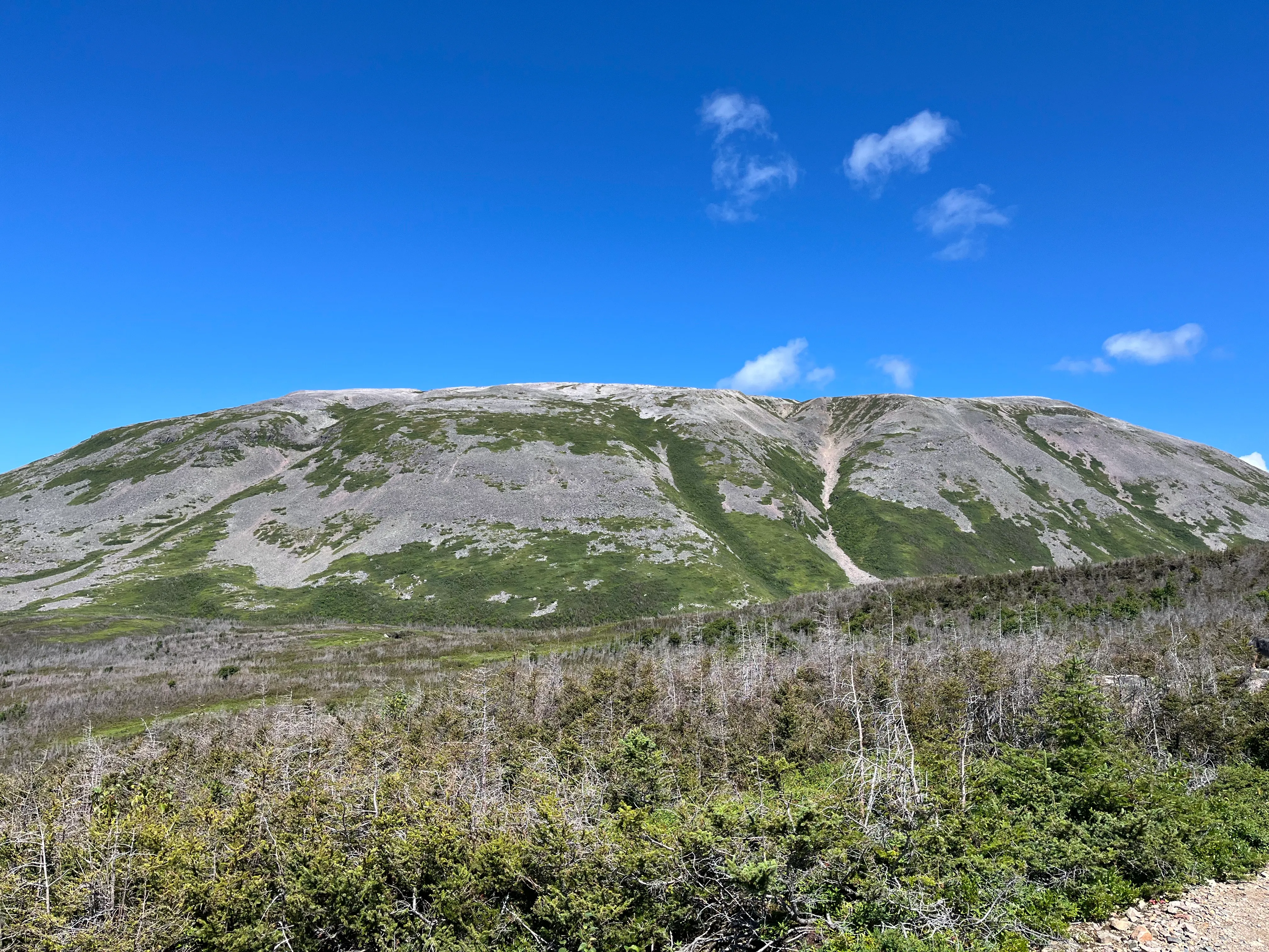 View in Gros Morne Mt