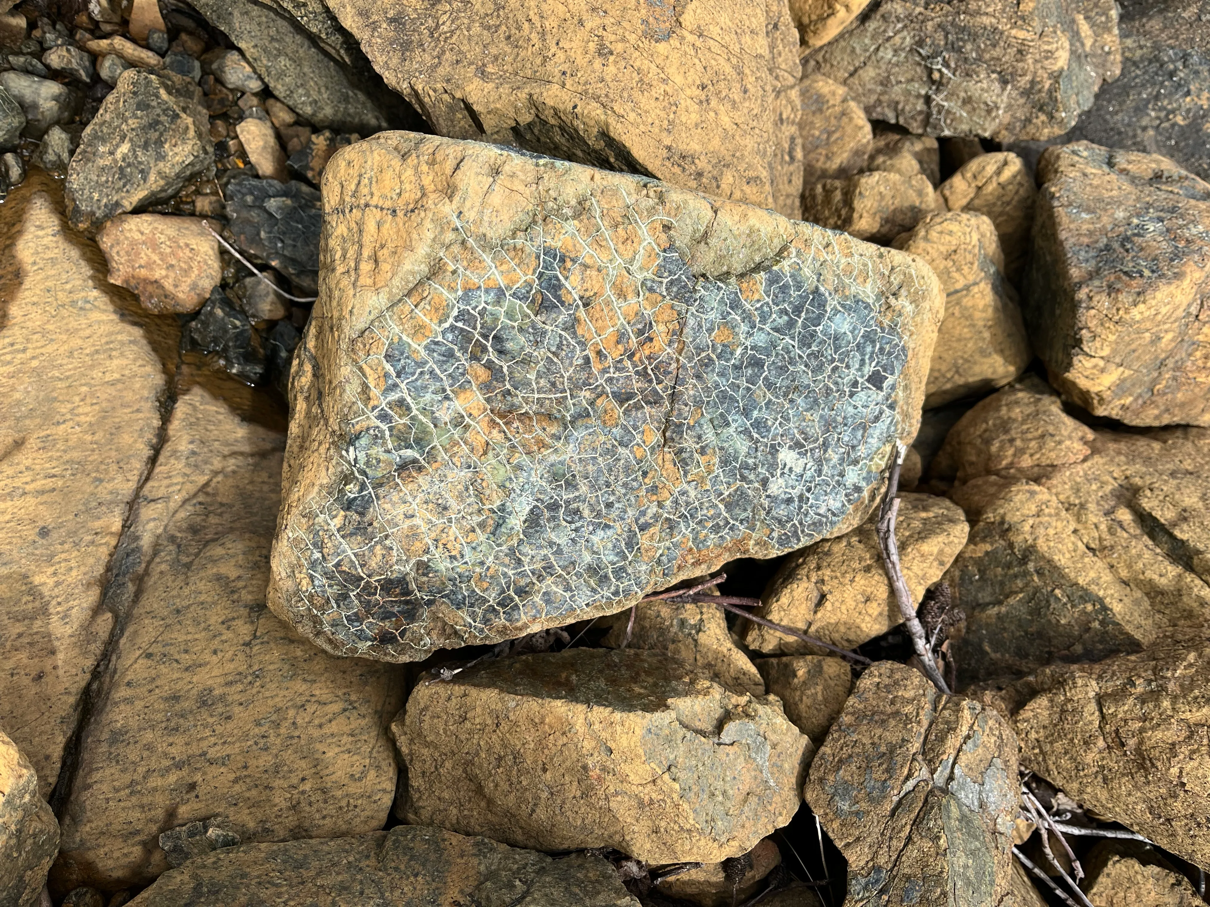 Serpentinite