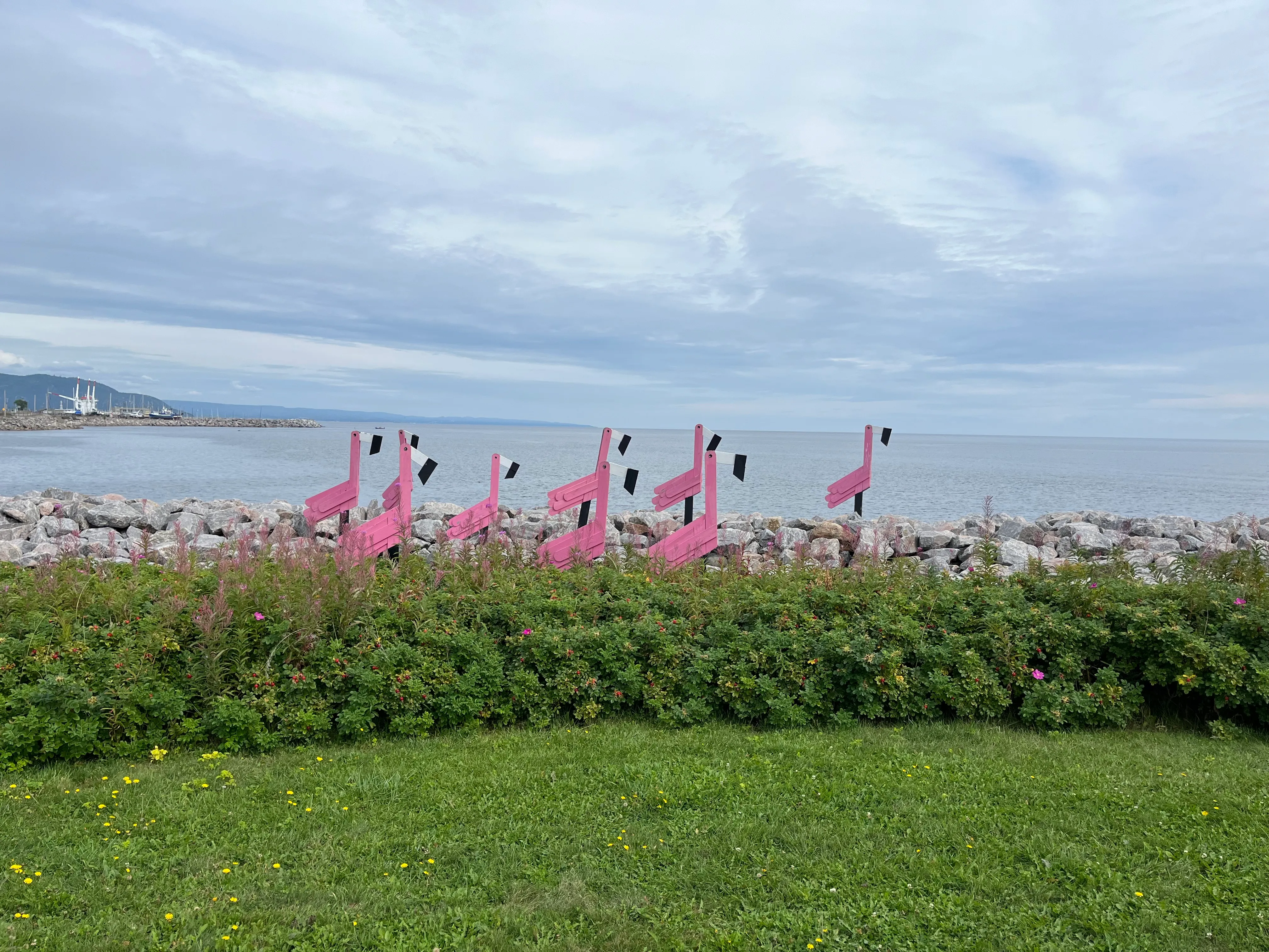 Baie